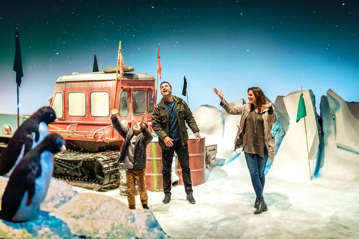 Explore the charm of Antarctic wildlife alongside a fun family experience encountering adorable Blue Penguins and engaging with an immersive icy adventure in the heart of Christchurch.